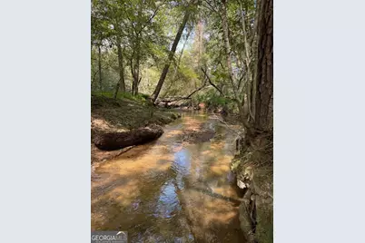 0 Hebron Church Road, Statham, GA 30666 - Photo 10