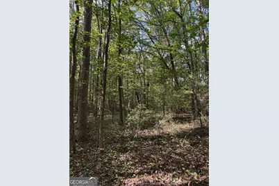 0 Hebron Church Road, Statham, GA 30666 - Photo 6