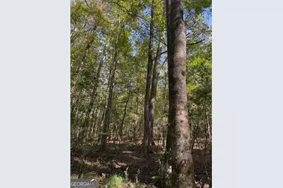 0 Hebron Church Road, Statham, GA 30666 - Photo 12