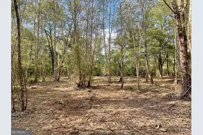 0 Buffalo Creek Road, Carrollton, GA 30117 - Photo 6