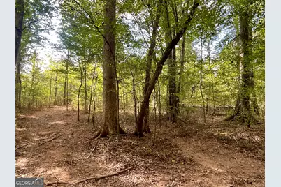 0 Buffalo Creek Road, Carrollton, GA 30117 - Photo 1