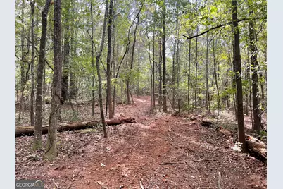 0 Buffalo Creek Road, Carrollton, GA 30117 - Photo 16