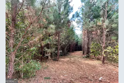 0 Buffalo Creek Road, Carrollton, GA 30117 - Photo 14