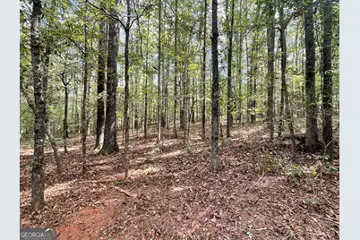 0 Buffalo Creek Road, Carrollton, GA 30117 - Photo 18