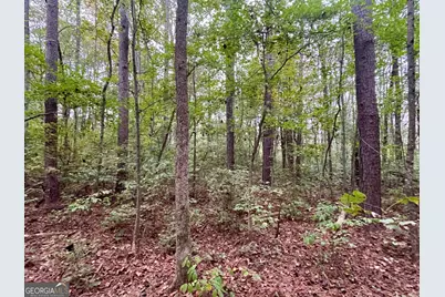 0 Buffalo Creek Road, Carrollton, GA 30117 - Photo 34