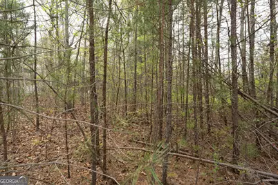 136 Key Lane, Lakemont, GA 30552 - Photo 32