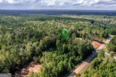 673 Parham Road, Milledgeville, GA 31061 - Photo 6