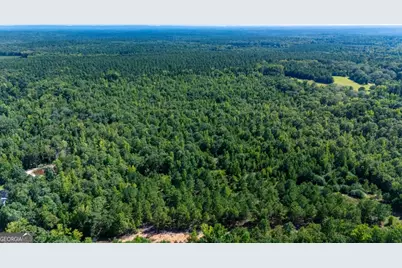 0 Branch Hebron Road, Greenville, GA 30222 - Photo 6