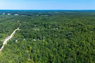 0 Branch Hebron Rd, Greenville, GA 30222 - Photo 1