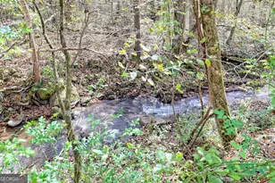 1064 Muskrat Creek Rd, Hayesville, NC 28904 - Photo 46