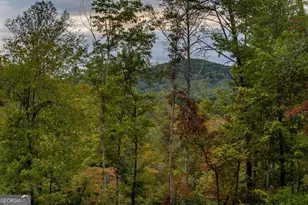 48 Green Ridge Rd, Blue Ridge, GA 30513 - Photo 54