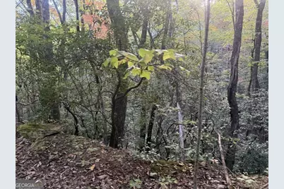 0 Wood Sorrel Lane #LOT 727/726, Clayton, GA 30525 - Photo 12