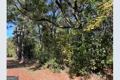0 US Highway 17, Waverly, GA 31565 - Photo 8