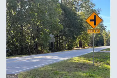 0 US Highway 17, Waverly, GA 31565 - Photo 2