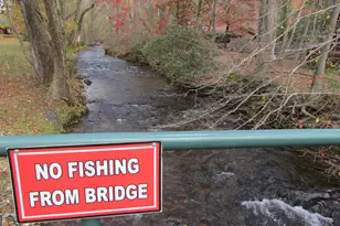 345 Hidden Valley Rd, Cleveland, GA 30528 - Photo 74