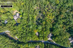 864 Woodbrier, Sautee Nacoochee, GA 30571 - Photo 40