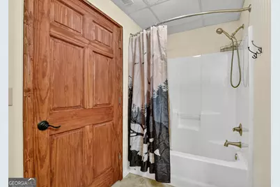 300 Harris Drive, Blue Ridge, GA 30513 - Photo 46