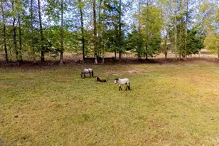 1750 Bishop Rd, Luthersville, GA 30251 - Photo 72