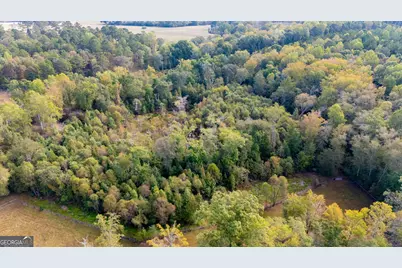 1750 Bishop Road, Luthersville, GA 30251 - Photo 62