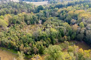 1750 Bishop Rd, Luthersville, GA 30251 - Photo 62