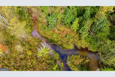 1750 Bishop Road, Luthersville, GA 30251 - Photo 68