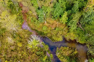 1750 Bishop Rd, Luthersville, GA 30251 - Photo 68