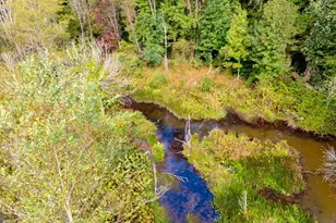 1750 Bishop Rd, Luthersville, GA 30251 - Photo 70