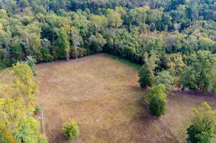 1750 Bishop Rd, Luthersville, GA 30251 - Photo 60