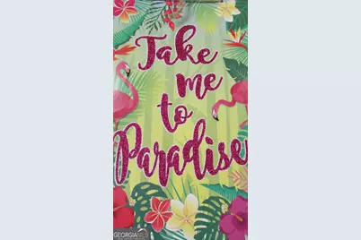 318 Hidden Valley Road, Cleveland, GA 30528 - Photo 68