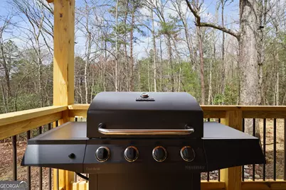 293 Scott Hollow Road, Ellijay, GA 30540 - Photo 34