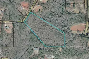 485 Mitchell Rd, Forsyth, GA 31029 - Photo 1