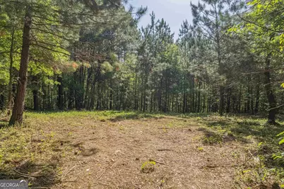 0 Old Mize, Toccoa, GA 30577 - Photo 10