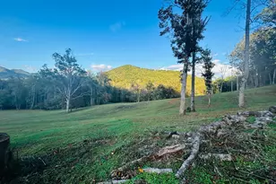 1306 Hot House Rd, Hayesville, NC 28904 - Photo 116