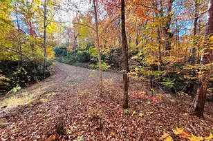 1306 Hot House Rd, Hayesville, NC 28904 - Photo 122