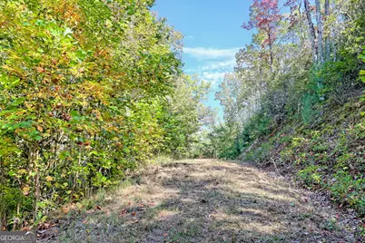 1306 Hot House Road, Hayesville, NC 28904 - Photo 80