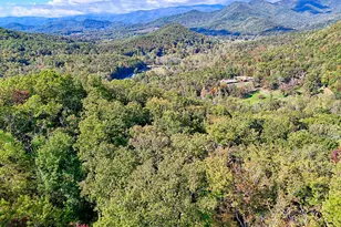 1306 Hot House Rd, Hayesville, NC 28904 - Photo 102