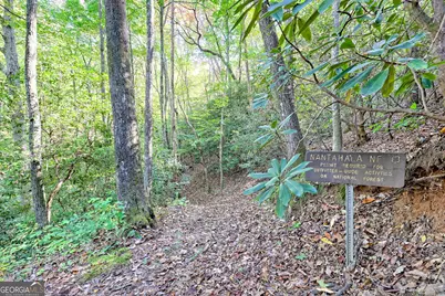 1306 Hot House Road, Hayesville, NC 28904 - Photo 80