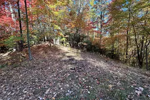 1306 Hot House Rd, Hayesville, NC 28904 - Photo 120