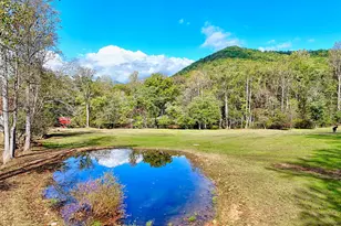 1306 Hot House Rd, Hayesville, NC 28904 - Photo 98