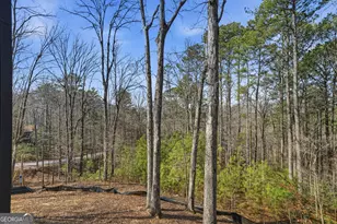 890 Joliet Drive, Ellijay, GA 30540 - Photo 36