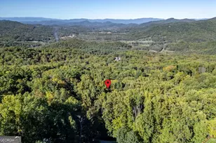 7 Spring Rd, Blairsville, GA 30512 - Photo 62