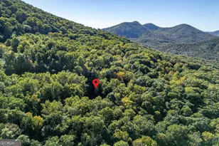 7 Spring Rd, Blairsville, GA 30512 - Photo 54