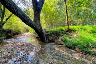 3746 Ledan Rd, Gainesville, GA 30506 - Photo 6