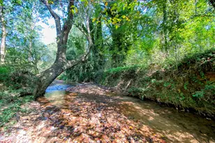 3746 Ledan Rd, Gainesville, GA 30506 - Photo 2