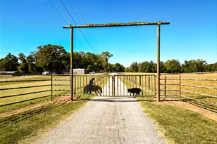 186 Beech Springs Rd, Pine Mountain, GA 31822 - Photo 4