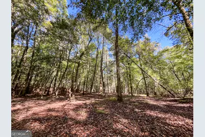 186 Beech Springs Road, Pine Mountain, GA 31822 - Photo 48