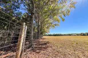 186 Beech Springs Rd, Pine Mountain, GA 31822 - Photo 56