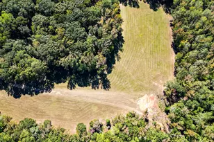 186 Beech Springs Rd, Pine Mountain, GA 31822 - Photo 30