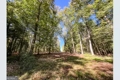 186 Beech Springs Road, Pine Mountain, GA 31822 - Photo 46