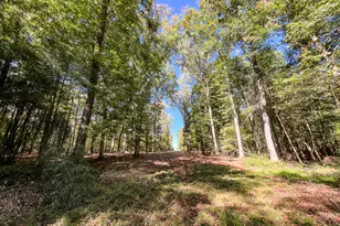 186 Beech Springs Rd, Pine Mountain, GA 31822 - Photo 46